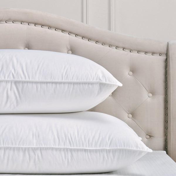 Oreiller en duvet Brome